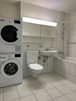Helle 2.5-Zimmer-Wohnung mit Terrasse in Winterthur 5