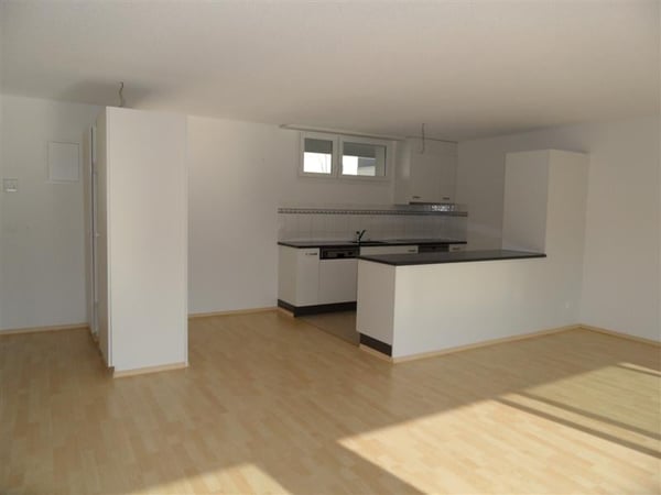 Charmante 2.5-Zimmer-Terrassenwohnung im 6. OG mit Bergblick in Winterthur 4