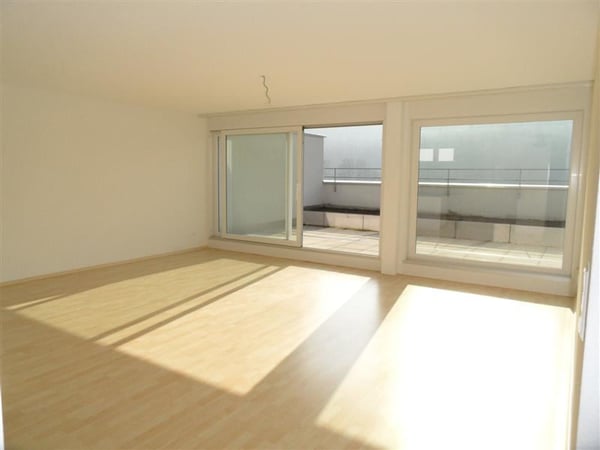 Charmante 2.5-Zimmer-Terrassenwohnung im 6. OG mit Bergblick in Winterthur 3