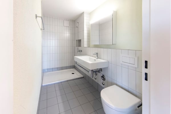 Totalsanierte 3.5-Zimmer-Wohnung mit sonnigem Balkon in Hinwil 4