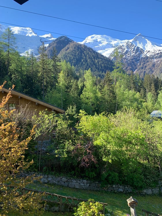 Chalet vue Mont-Blanc avec terrasse 8