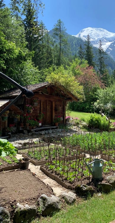 Chalet vue Mont-Blanc avec terrasse 7