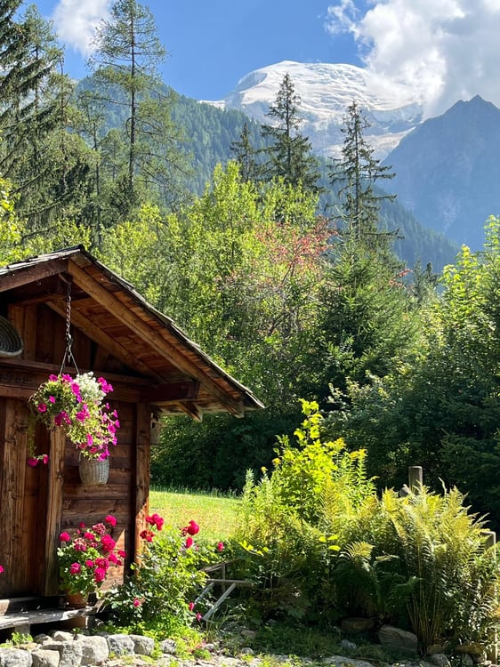 Chalet vue Mont-Blanc avec terrasse 12