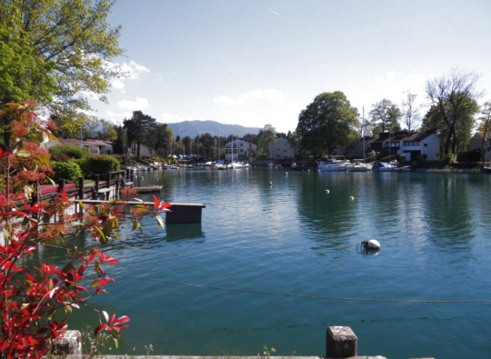 Duplex en dernier étage rénové à Port Ripaille 5