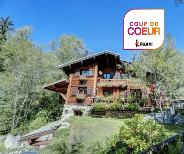 Chalet vue Mont-Blanc avec terrasse 1