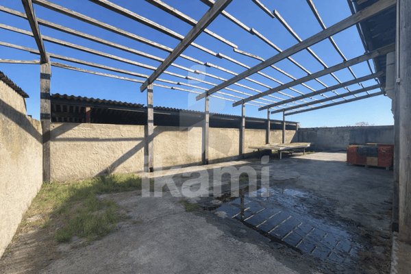 MAISON/EXPLOITATION 15 HECTARES LENS LESTANG 13