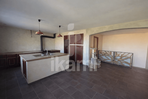 MAISON/EXPLOITATION 15 HECTARES LENS LESTANG 6