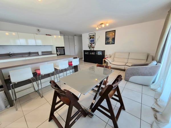 Superbe appartement T4 avec terrasse et vue Mont-Blanc Proche frontière 6