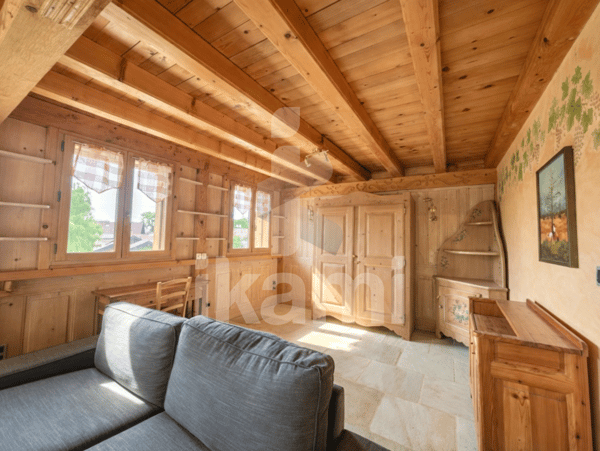 Maison d'exception au pied du Salève   Portes de Genève 13