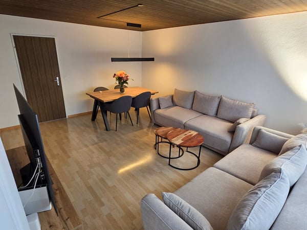 Gemütliche 1-Zimmer-Wohnung mit Balkon in Affoltern am Albis 2