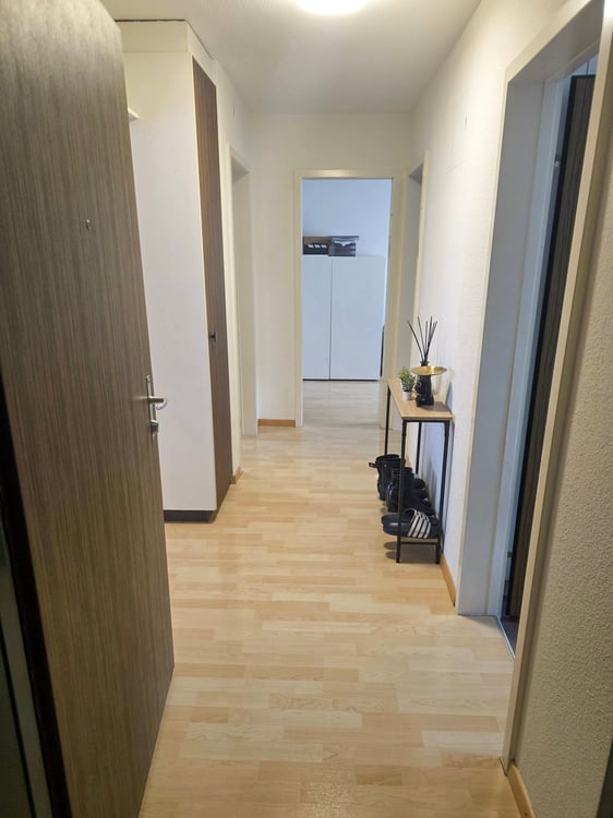 Gemütliche 1-Zimmer-Wohnung mit Balkon in Affoltern am Albis 9