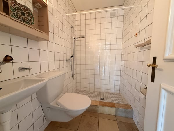 5.5-Zimmer-Einfamilienhaus mit Garten in Müntschemier kaufen 5