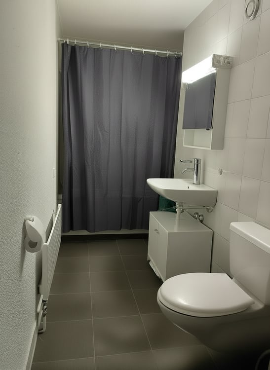 Wohnen mit Grünfläche | Charmante 1.5-Zimmer im Erdgeschoss 3