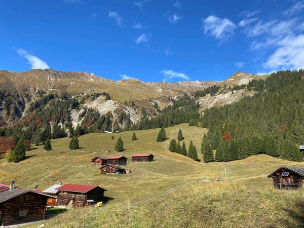 Charmantes Maiensäss oberhalb Schiers inkl. Baubewilligung 16