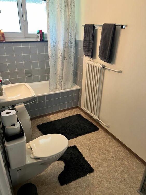 1.5 Zimmerwohnung mit toller Aussicht 8