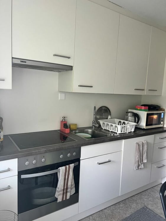 1.5 Zimmerwohnung mit toller Aussicht 3