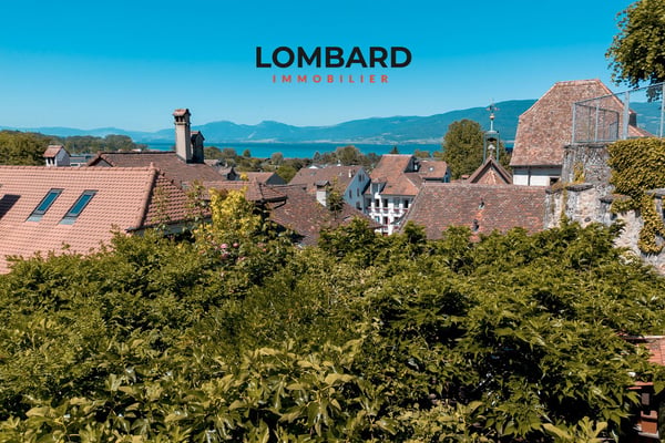 Charmant duplex de 3.5 pièces avec vue sur le lac 9