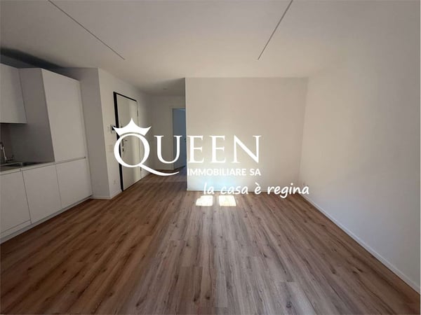 Rancate: elegantI appartamenti riattati 1.5 locali , da 10 a 65 mq. Co 1