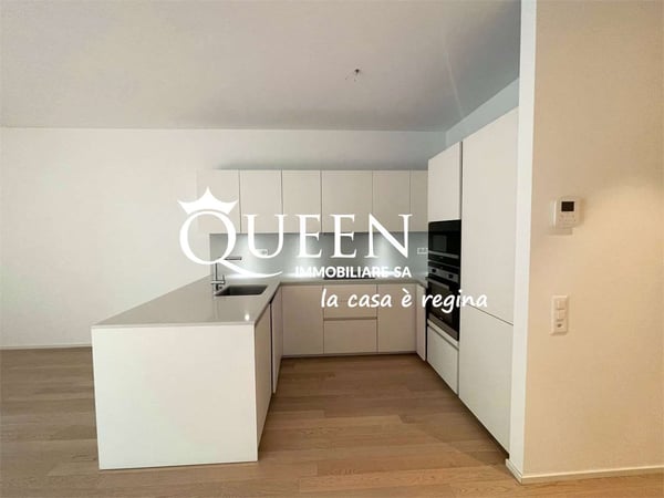 Lugano-Cassarate: nuovo appartamento 1.5 locali, 170 mq. con terrazze 7