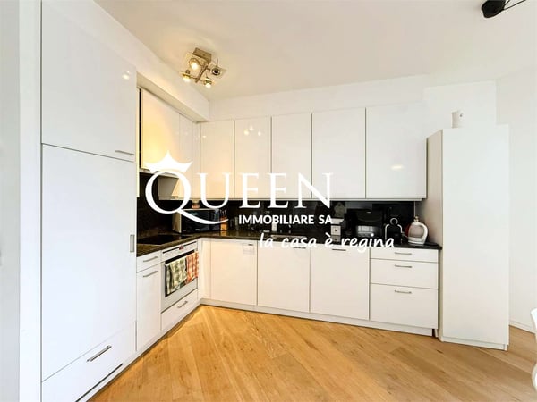 Lugano: appartamento 1.5 locali, 16 mq, luminoso, terrazza, vista aper 8