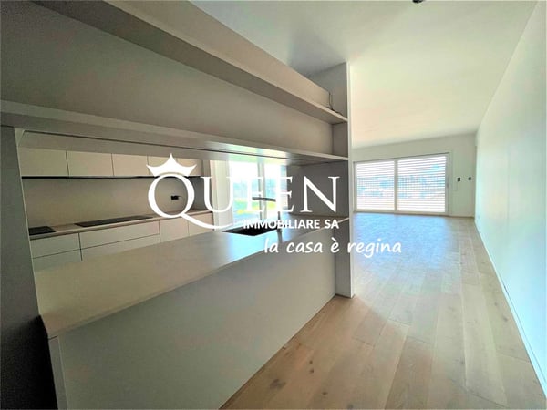 Mendrisio: nuovo e moderno appartamento 1.5 locali, 180 mq., con terra 6