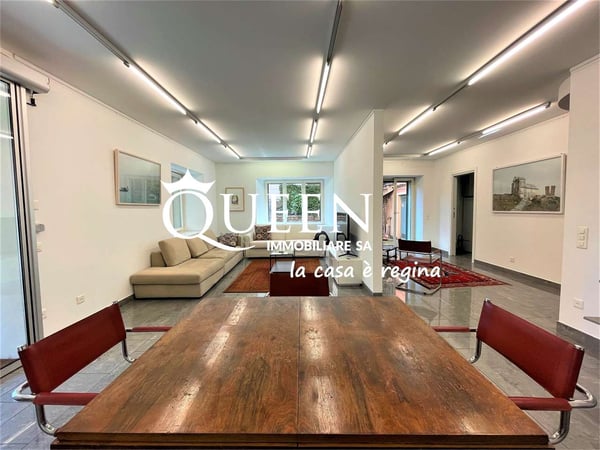 Lugano centro: appartamento 1 locali, 220 mq, giardino privato, portic 4