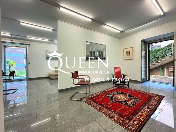 Lugano centro: appartamento 1 locali, 220 mq, giardino privato, portic 5