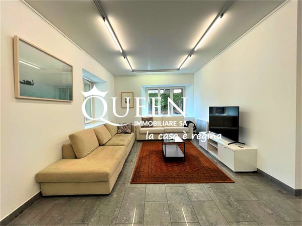 Lugano centro: appartamento 1 locali, 220 mq, giardino privato, portic 3