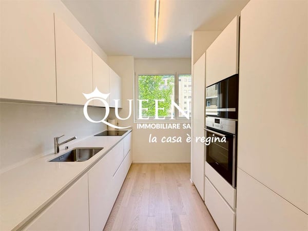 Lugano-Cassarate: appartamento 1.5 locali, 120 mq, terrazze, giardino 7