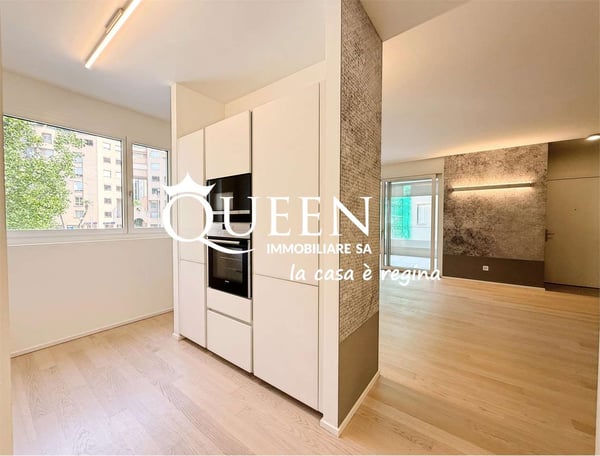 Lugano-Cassarate: appartamento 1.5 locali, 120 mq, terrazze, giardino 8