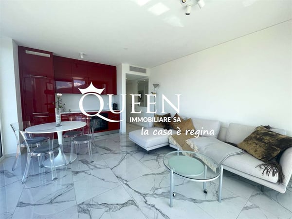 Lugano-Viganello: luminoso attico 1.5 locali 7