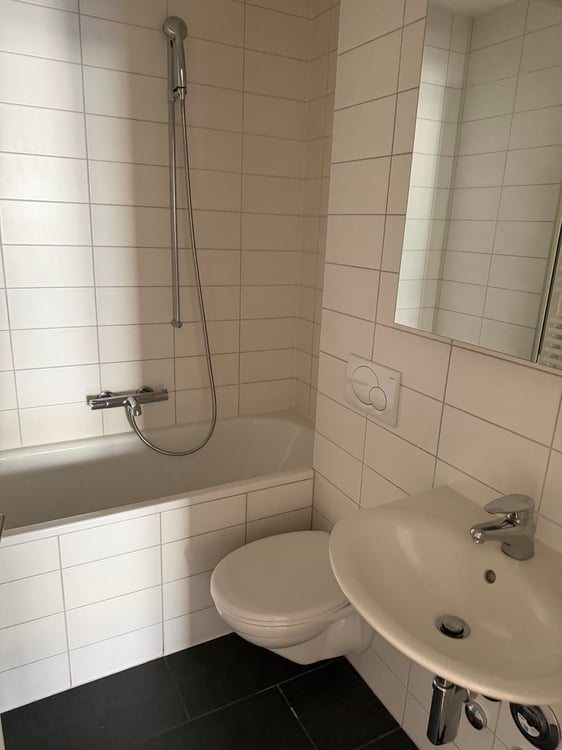 Gepflegte 3.5 Zimmerwohnung an interessanter Lage 6
