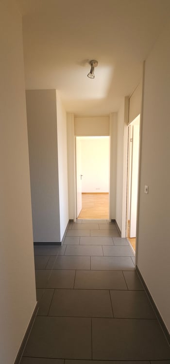 3.5 Zimmerwohnung Attikawohnung mit Weitblick 6