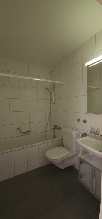 3.5 Zimmerwohnung Attikawohnung mit Weitblick 7