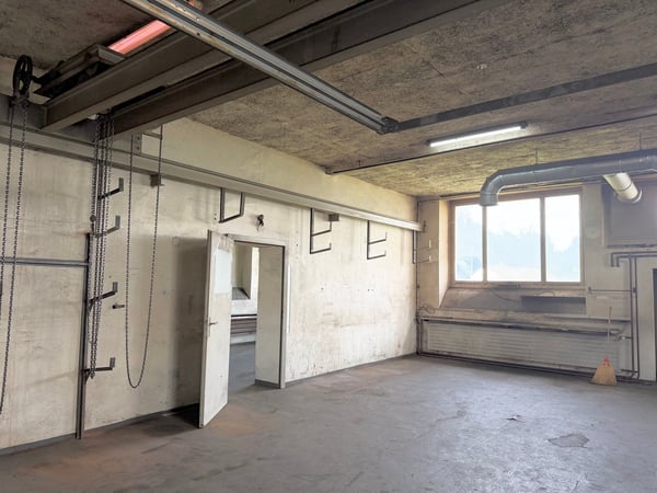 Geräumige Werkstatt zur Miete an der Thorenbergstrasse in Luzern 3