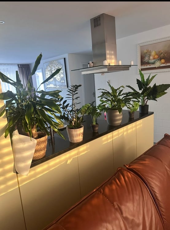 Wunderschöne Wohnung an ruhiger Lage 3