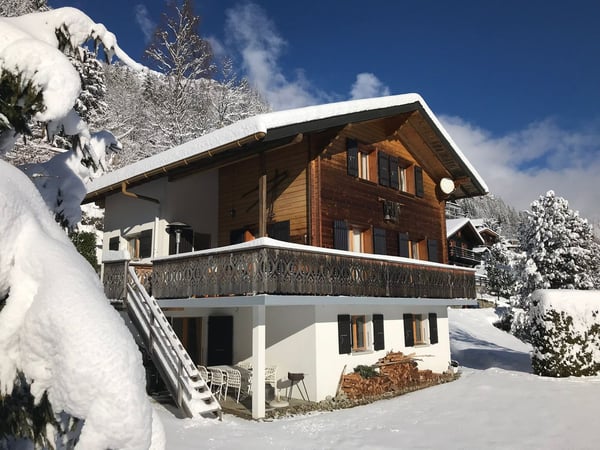 Chalet chaleureux de 5 pièces avec garage intégré et grand jardin 2