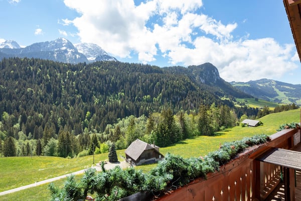 Duplex 5 pièces  dans un endroit très calme et offrant une vue magnifique sur les montagnes. 14