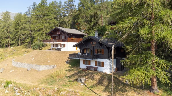 Chalet ski-in-ski-out mit zwei Privatparkplätze 3