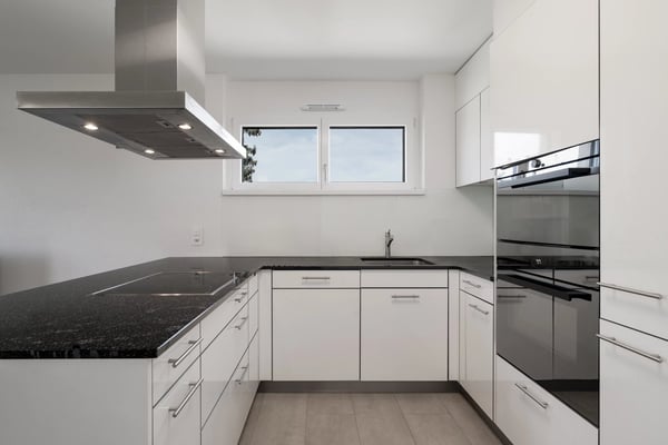 Contemporary 4.5-Room Penthouse Apartment Close to the Lake 3