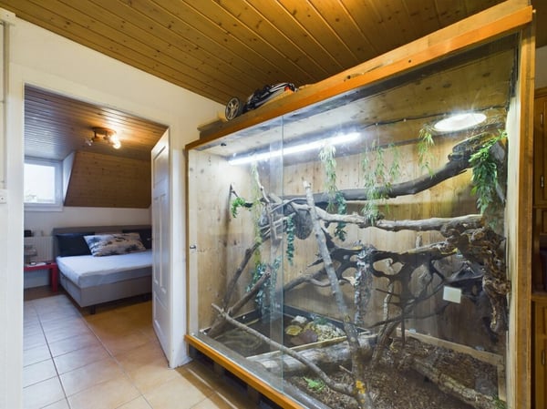 Attraktives Investment in zentraler Lage von Grenchen 20