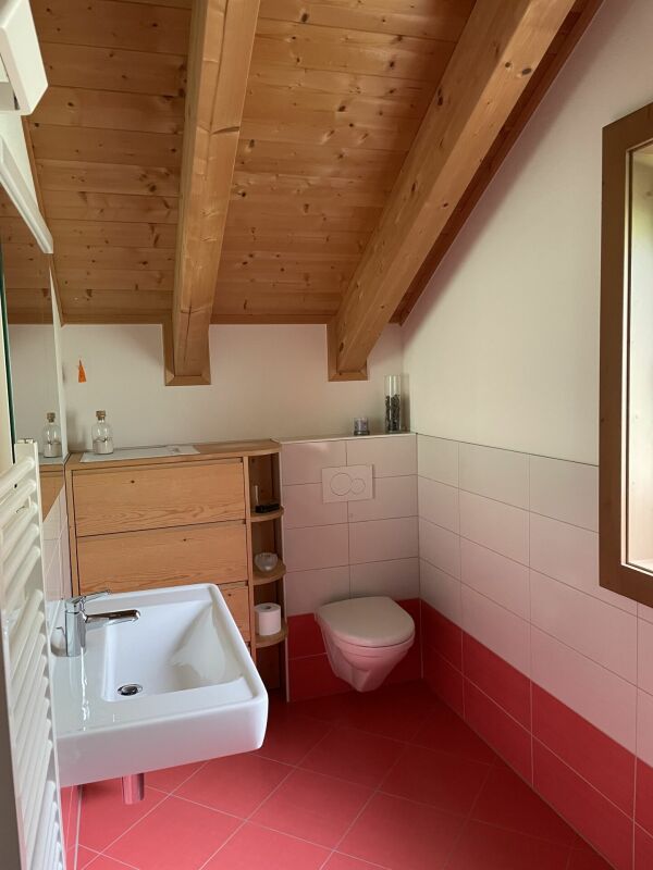 Magnifique chalet avec vue imprenable sur les montagnes