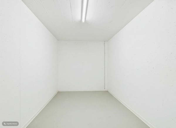Grosszügige und helle Wohnung mit Garten 15