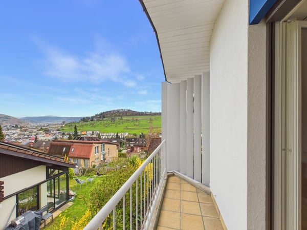 Luxuriöse Villa mit unverbaubarer Aussicht und viel Privatsphäre in Frenkendorf 16