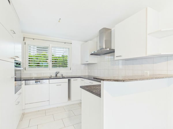 Doppeleinfamilienhaus zur Miete in Dübendorf 2