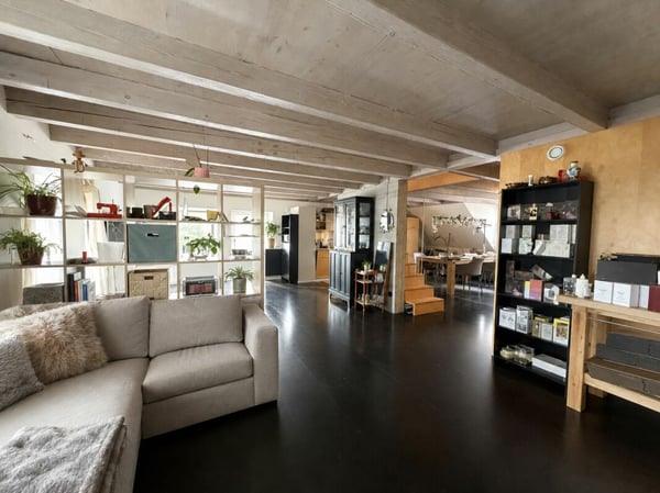 2.5-Zimmer-Wohnung mit Aare-, Berg- und Weitblick in Brugg 3