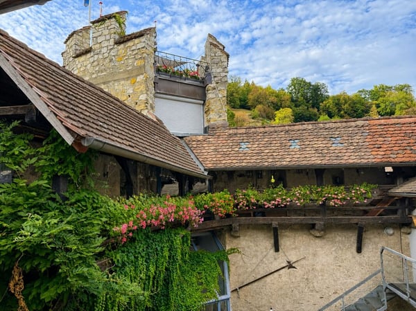 2.5-Zimmer-Wohnung mit Aare-, Berg- und Weitblick in Brugg 5