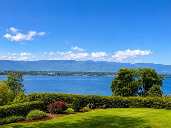 COLOGNY | VUE PANORAMIQUE ET IMPRENABLE SUR LE LAC 1