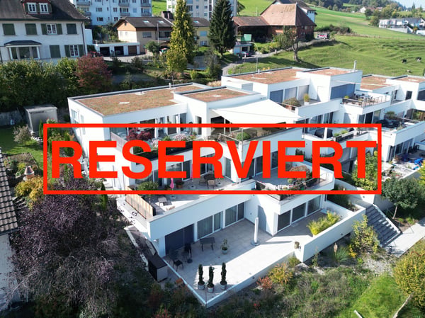 Attika-Terrassenwohnung mit Panoramablick im Wynental 1