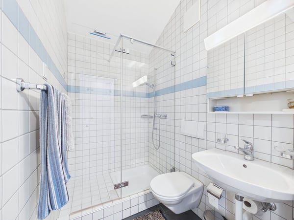 Wohnen mit Charakter – Maisonette-Dachwohnung mit zwei Galerien 11